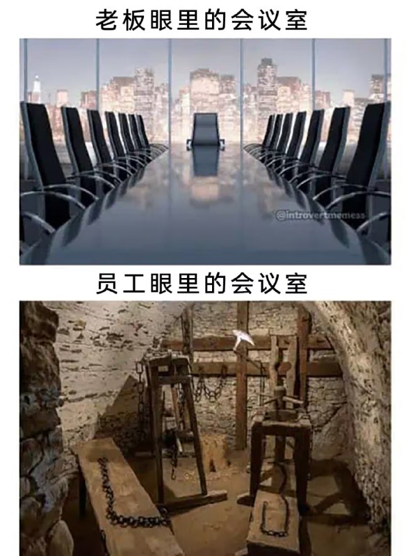 via 8号沙雕网友