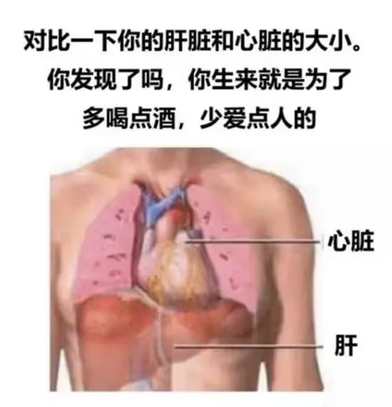 via 6号沙雕网友