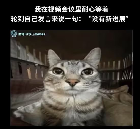 via 6号沙雕网友
