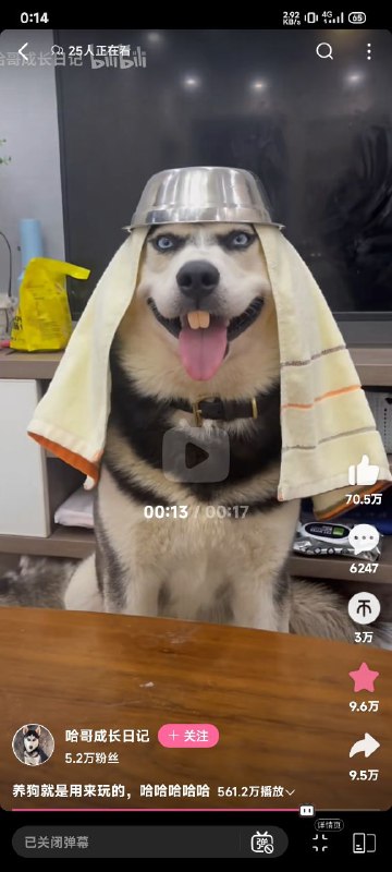 哟西