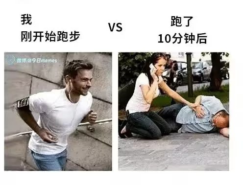 via 油菜花终结者