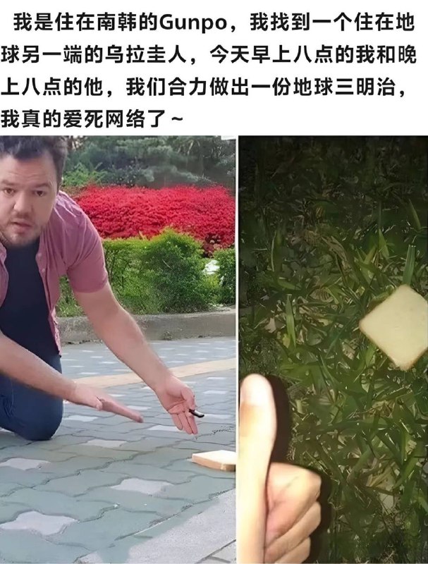 via 犯罪嫌疑人张某