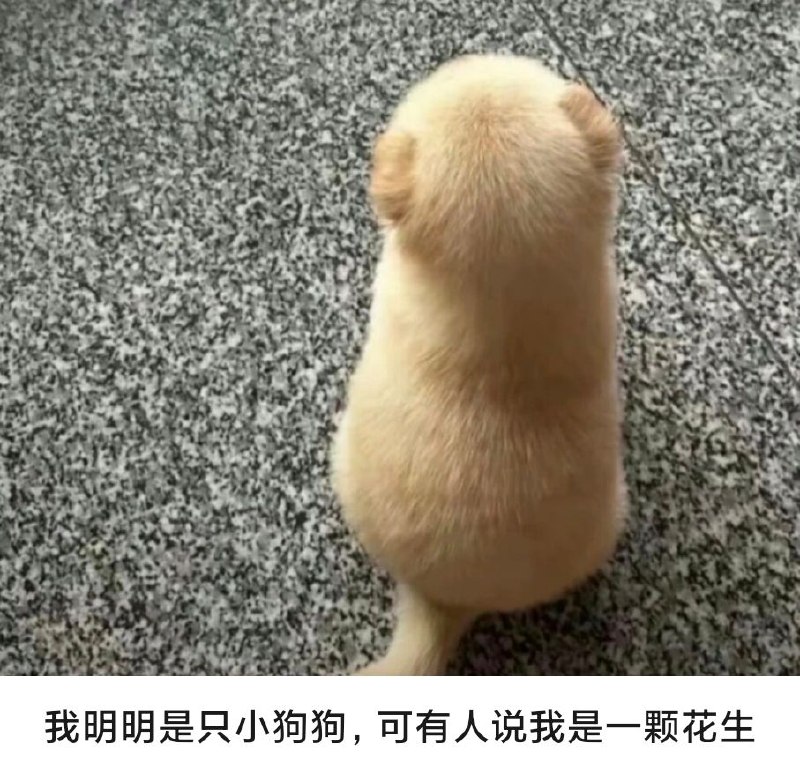from Mr.Yan via Mr.Yan