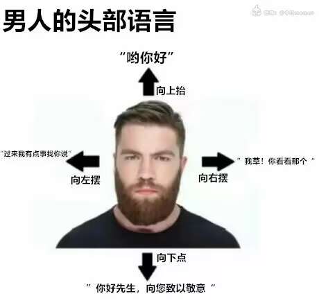 真吗？