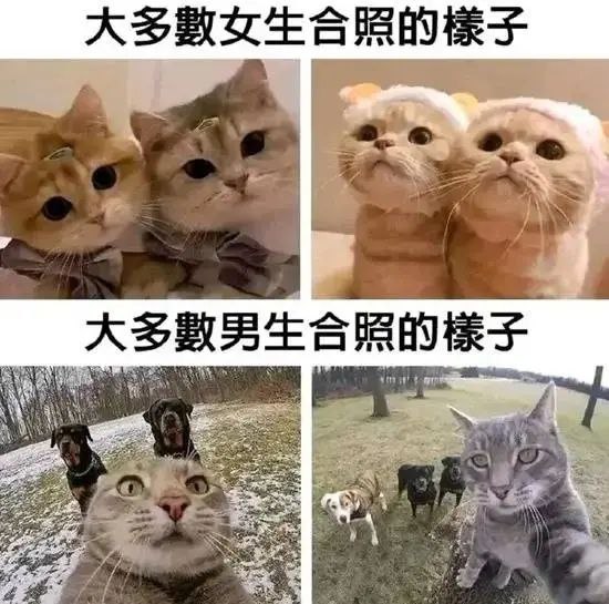 from Anzu什么都发 via electri