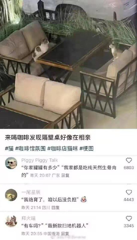 from 🔮 奇闻异录 与 沙雕时刻 meme collection