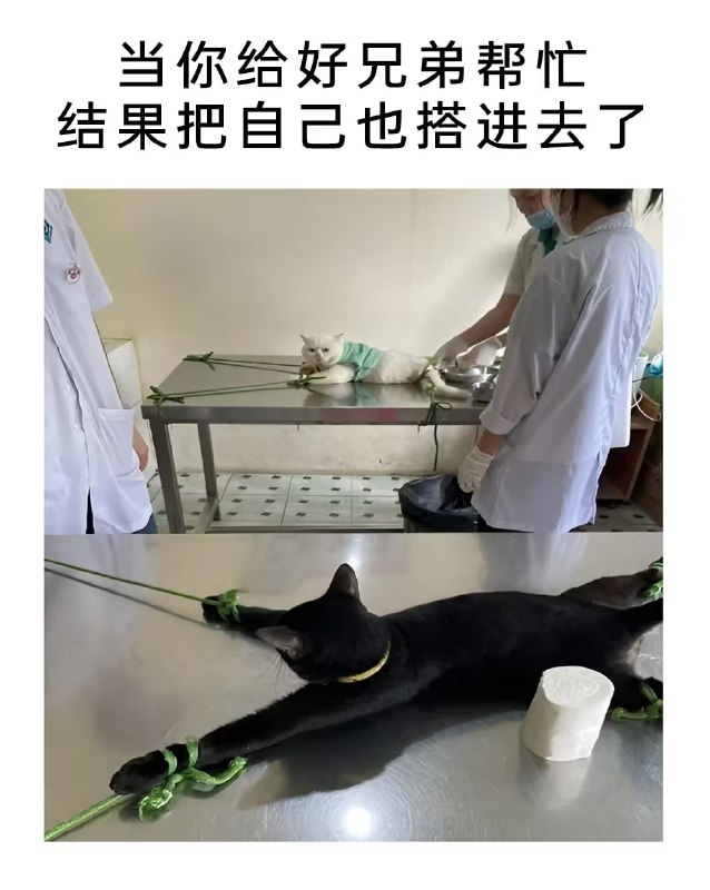 via 7号沙雕网友