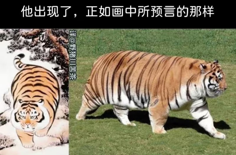 via 6号沙雕网友