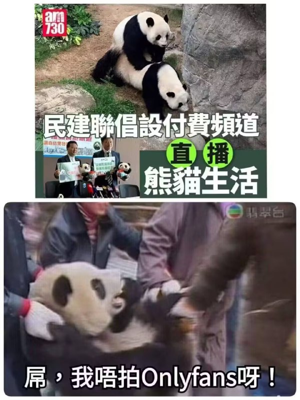 via 6号沙雕网友