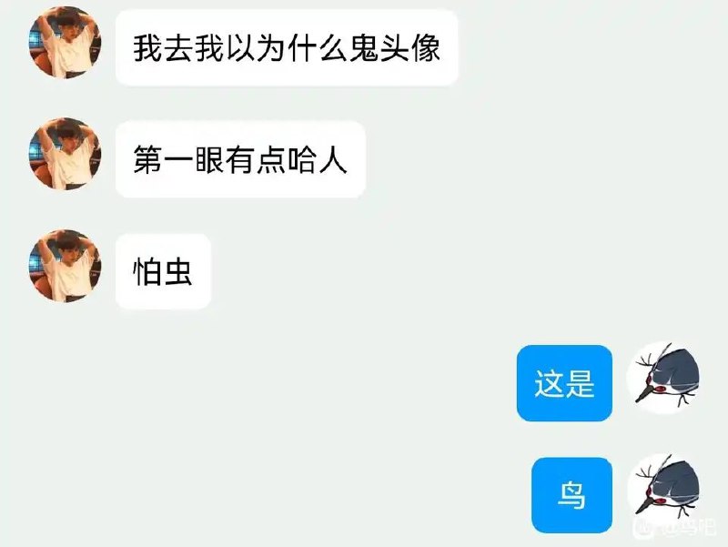 审核注