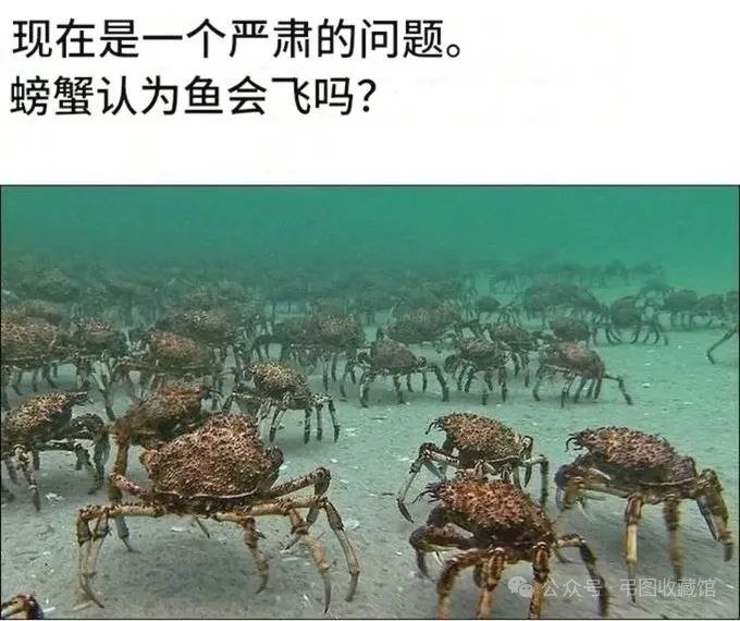 via Joseph Zhang