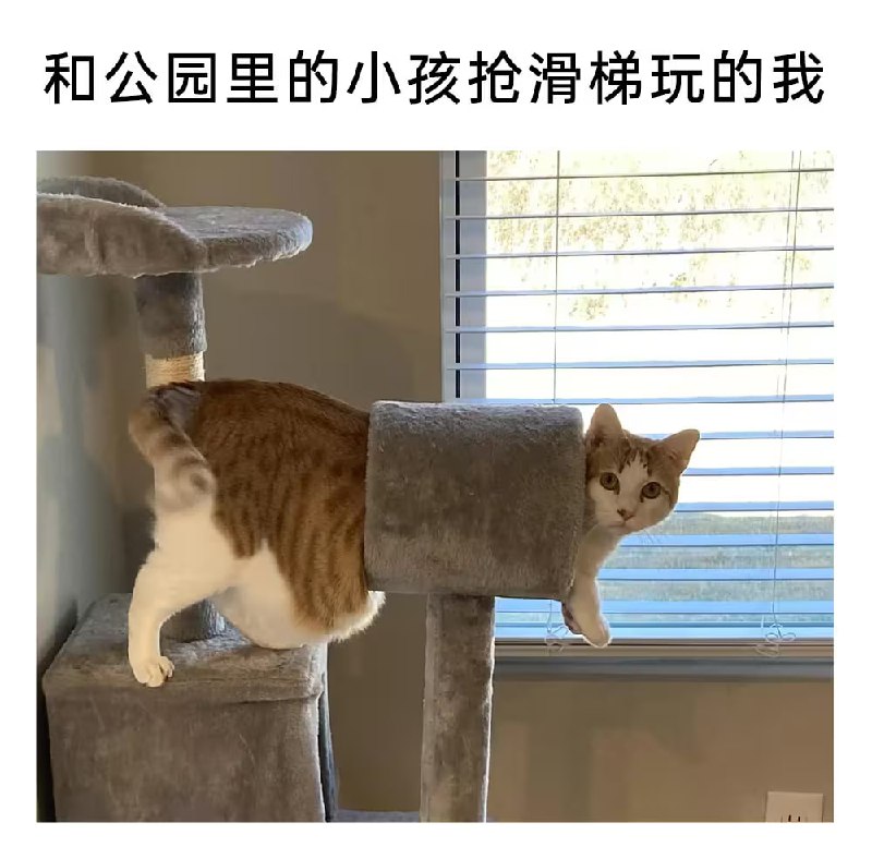 via 6号沙雕网友