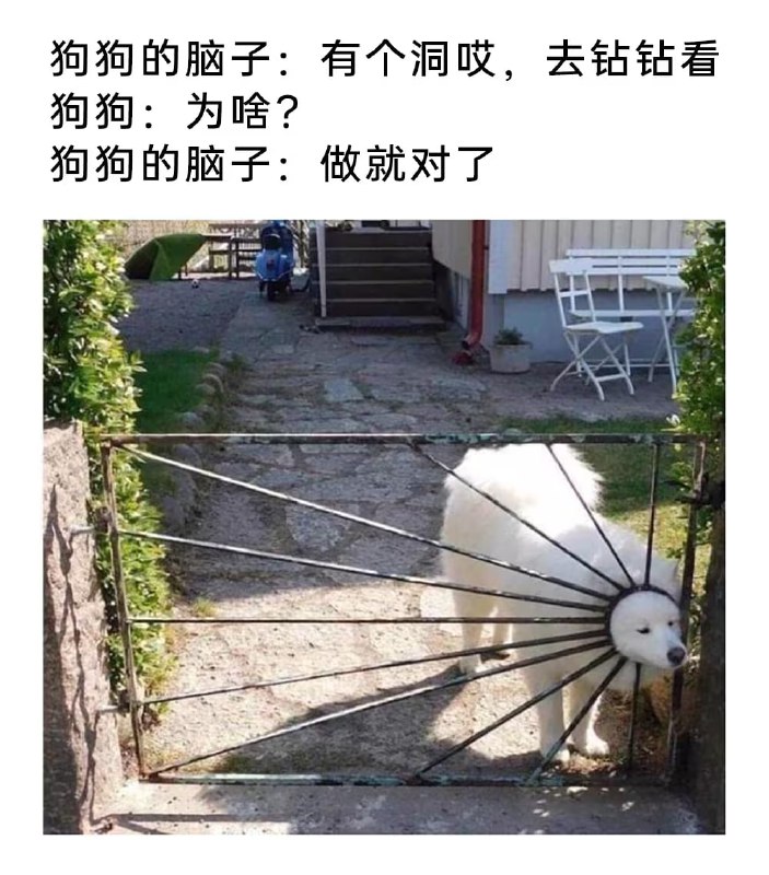 via 7号沙雕网友