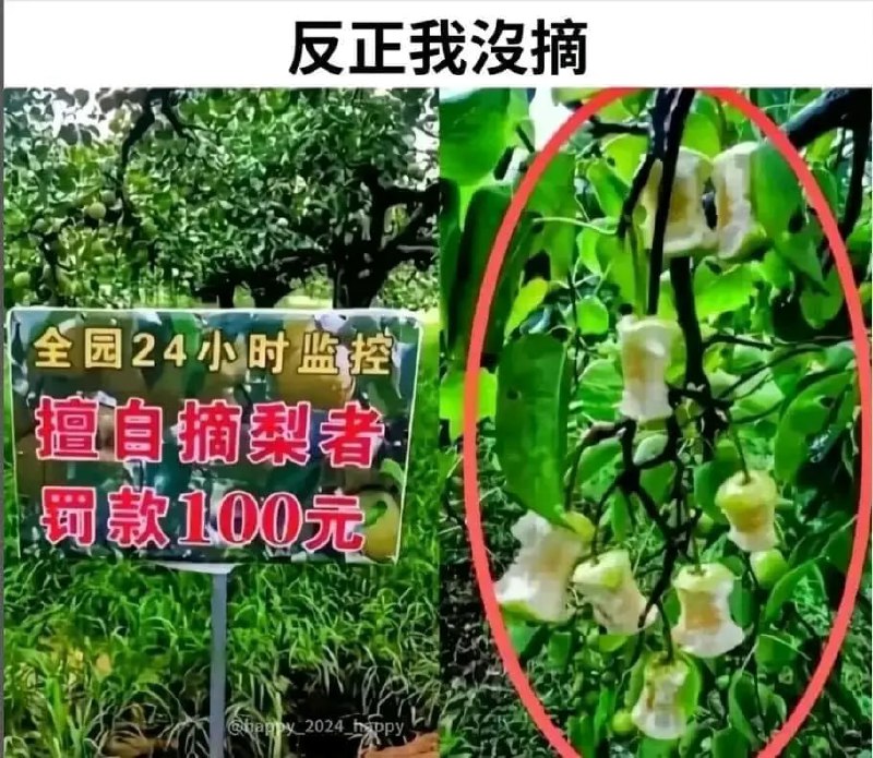 via 6号沙雕网友
