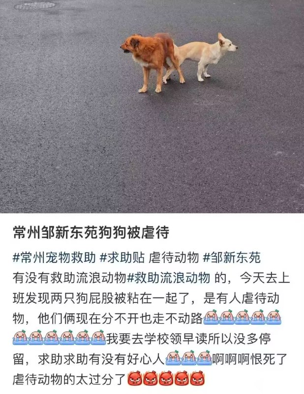 via Mr.Yan