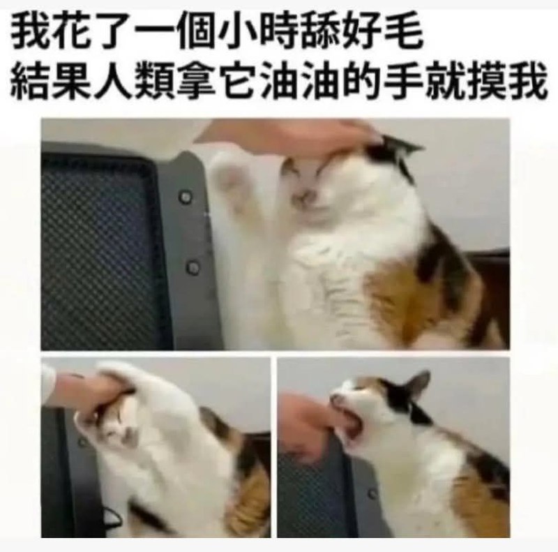 from 什麼都來點 via DECADE