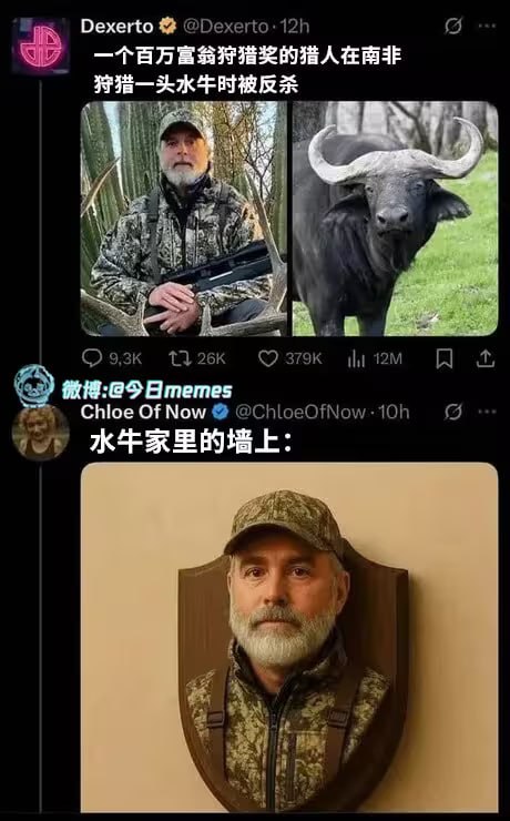 via 8号沙雕网友