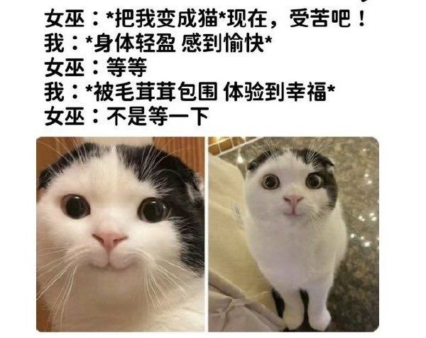 via 每日提肛小助手 今天你提了嘛