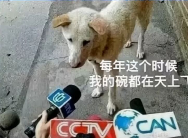 from 煎蛋无聊图