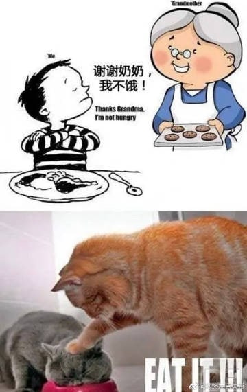 #去奶奶家总能有意外惊喜#人间真实#去奶奶家总能有意外惊喜#人间真实