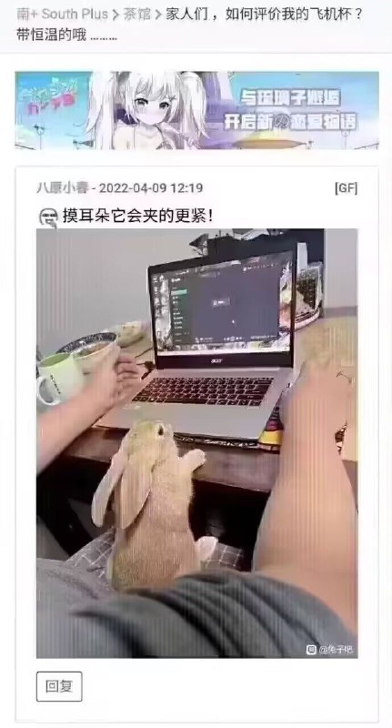 ？？？？？via 龙🌸猫 APEX甲级战犯版