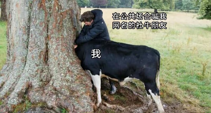 via 6号沙雕网友