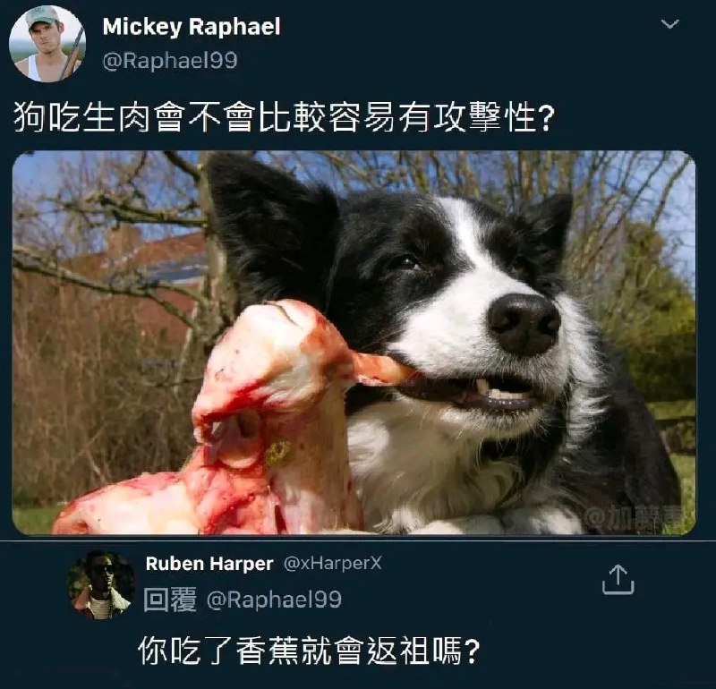 via 6号沙雕网友