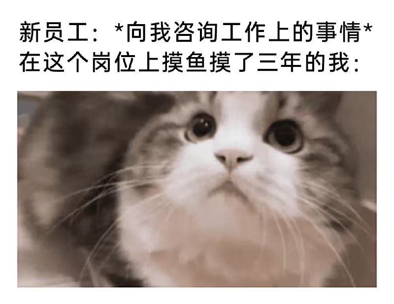 via 6号沙雕网友