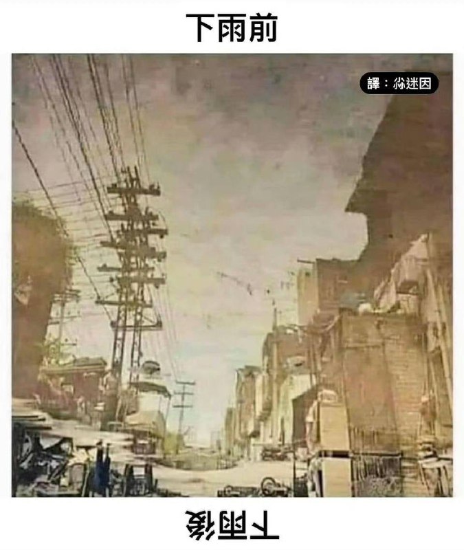 via 犯罪嫌疑人张某