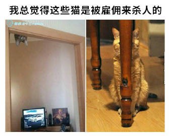 刺客信条