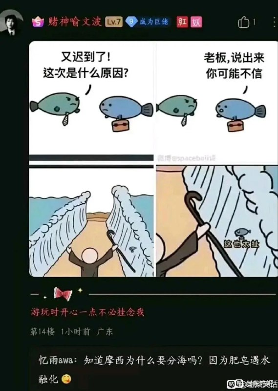 via LDLD 果冻