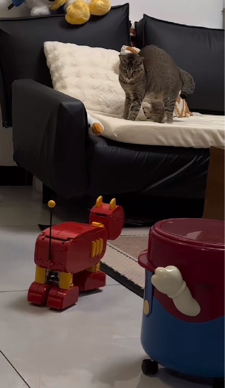 Q_Z