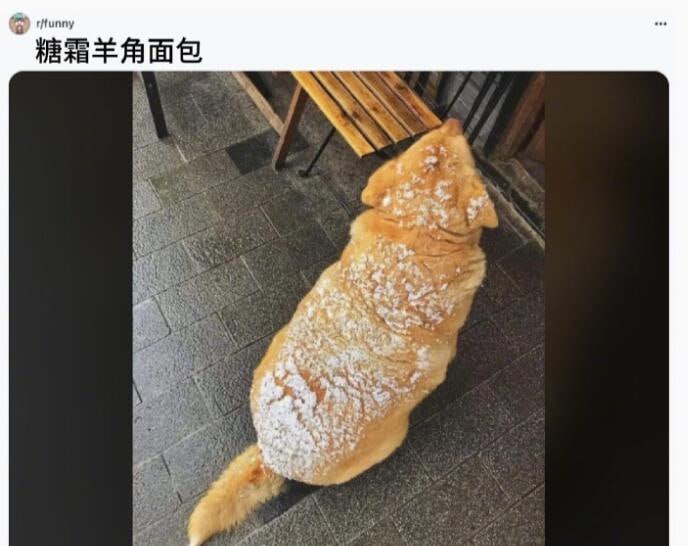 via 6号沙雕网友