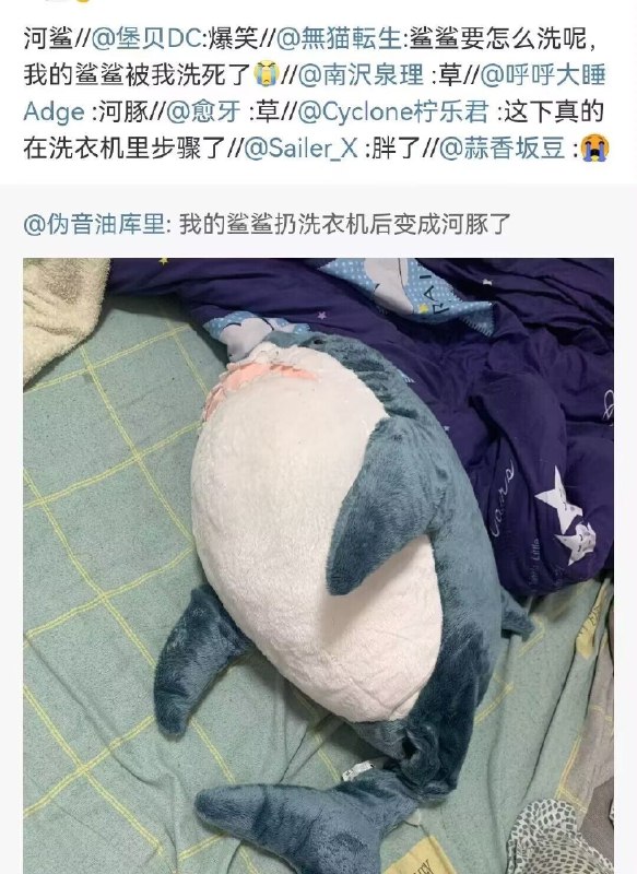 from 猫猫窝🐈🐈‍⬛️