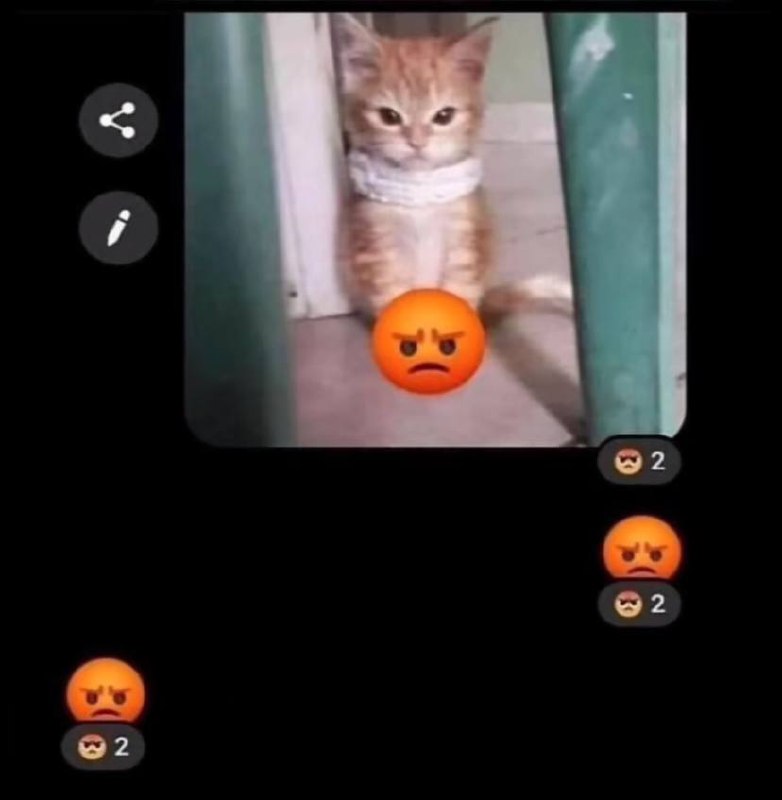 😡via Genie Tammy