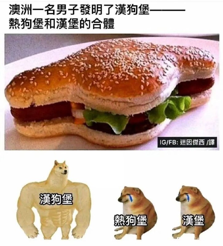 from 猫猫窝🐈🐈‍⬛