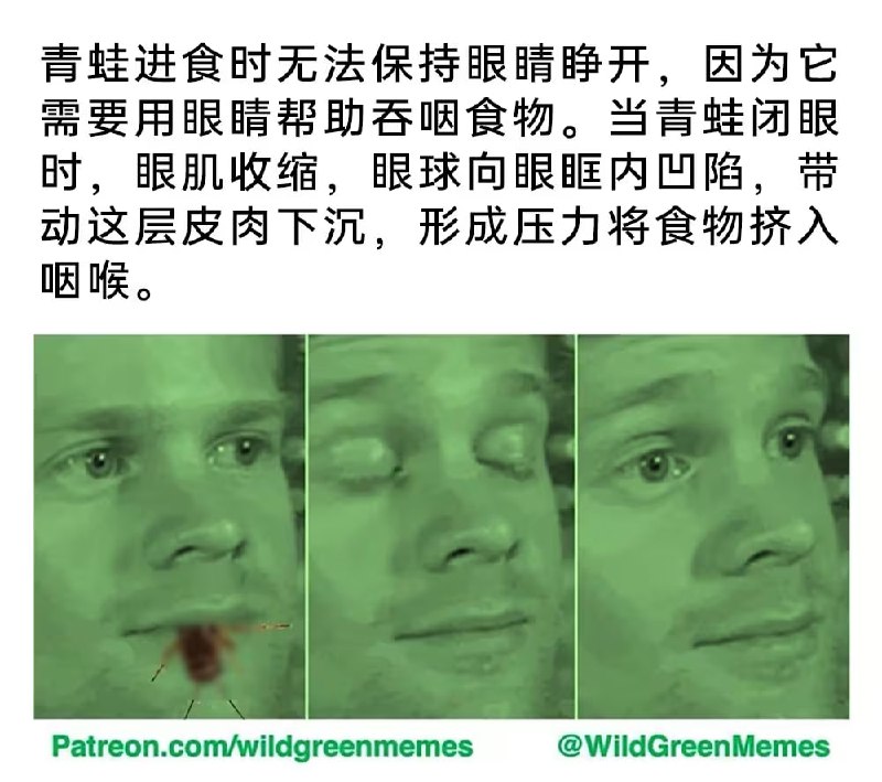 via 7号沙雕网友