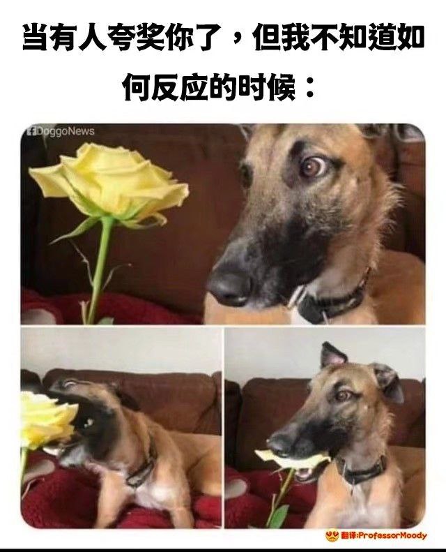 via 蒼瀾熙