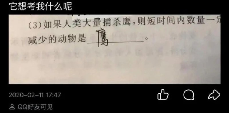 via 8号沙雕网友via 8号沙雕网友