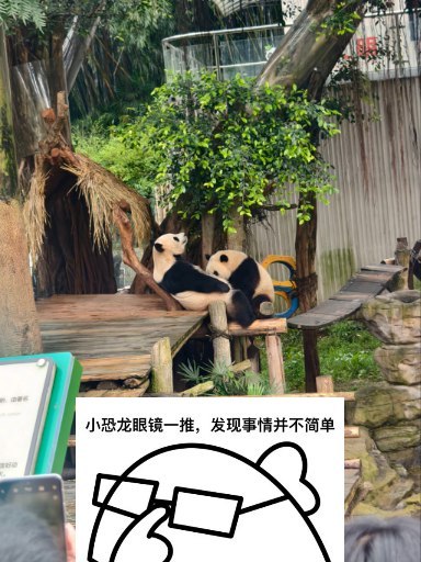啊啊啊啊啊啊啊