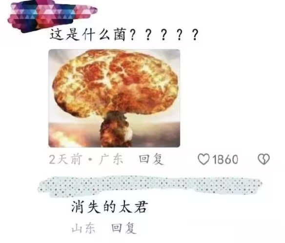 via 油菜花终结者