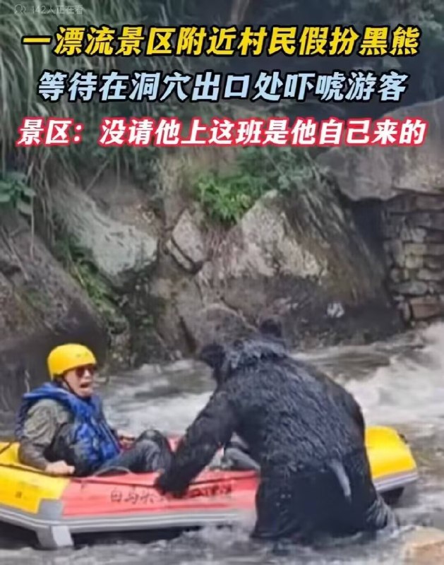 ？from 平壤卫视