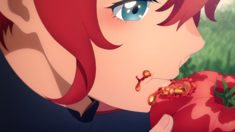 相隔43年的番茄圖進化#歡樂梗圖區from UMD(兔鼠)的謎島觀察日記（NSFW）相隔43年的番茄圖進化#歡樂梗圖區from UMD(兔鼠)的謎島觀察日記（NSFW）