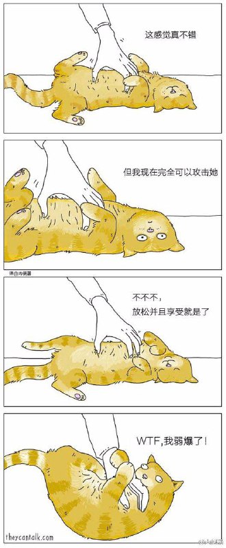 from 猫猫窝🐈🐈‍⬛from 猫猫窝🐈🐈‍⬛