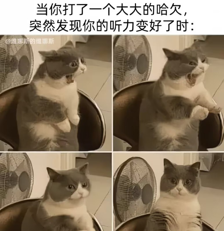 via 6号沙雕网友