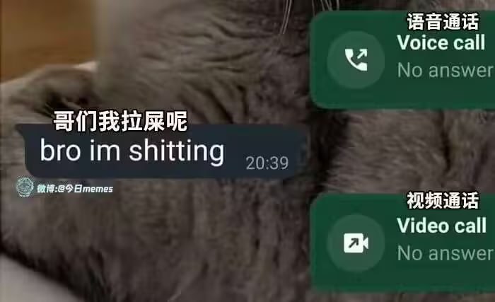 via 6号沙雕网友