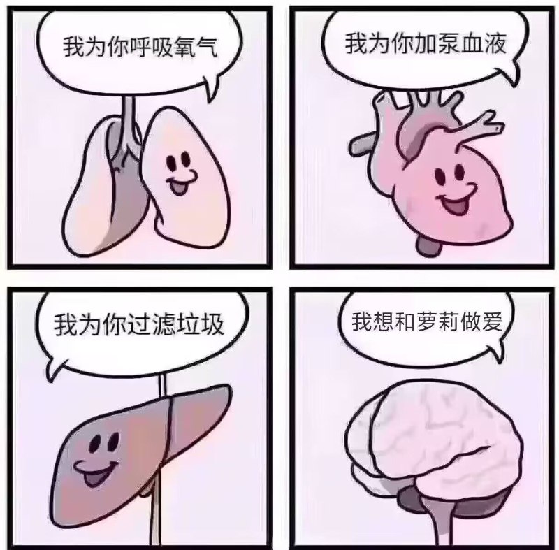 via Bingxin Baka