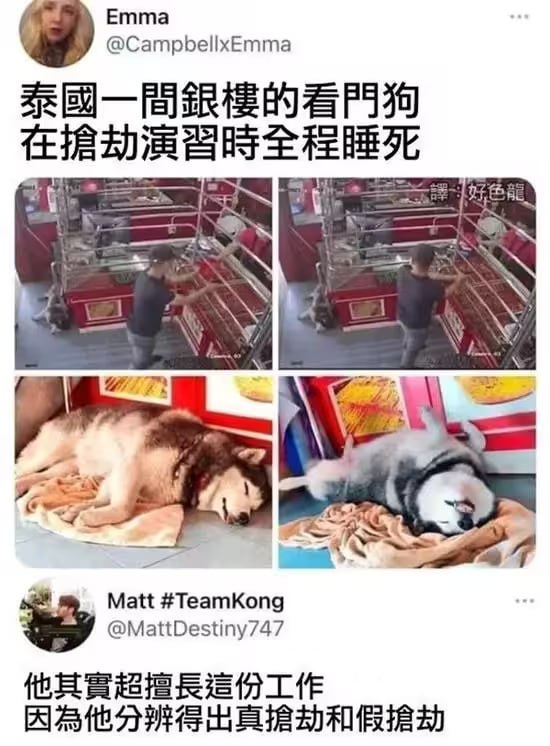 via 7号沙雕网友