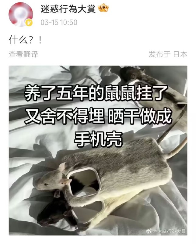 from 什麼都來點 via DECADE