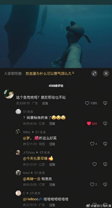 via 7号沙雕网友